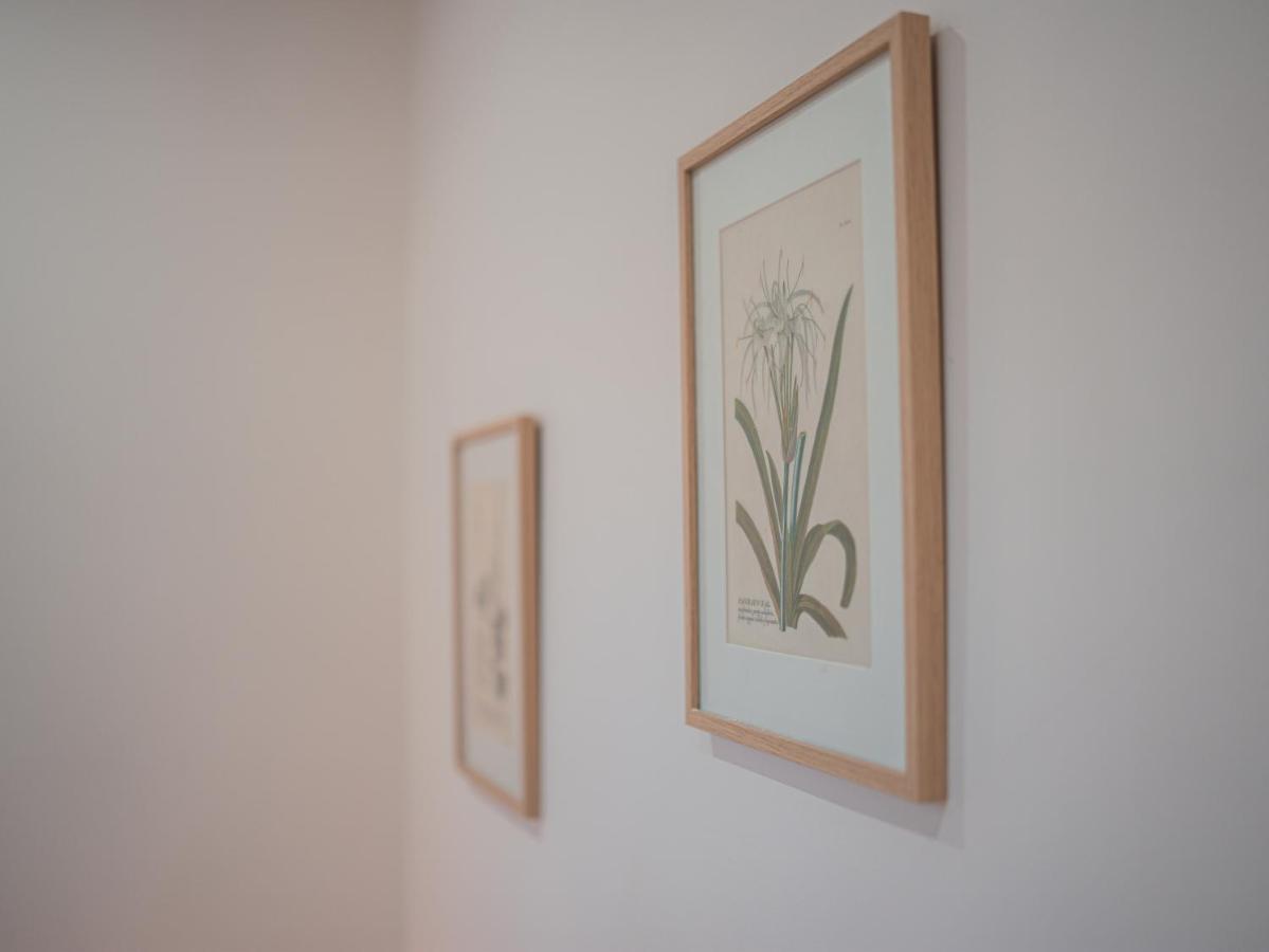 L'Annexe Clermont Ferrand Apartman Kültér fotó